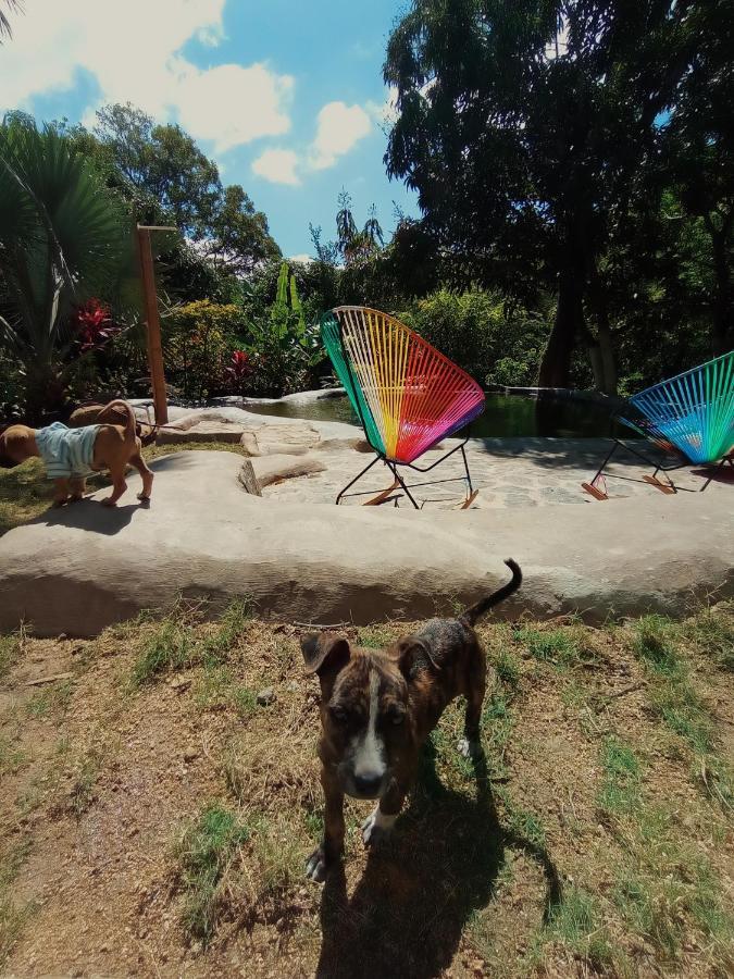 Hostal Dos Quebradas Santa Marta  Bagian luar foto
