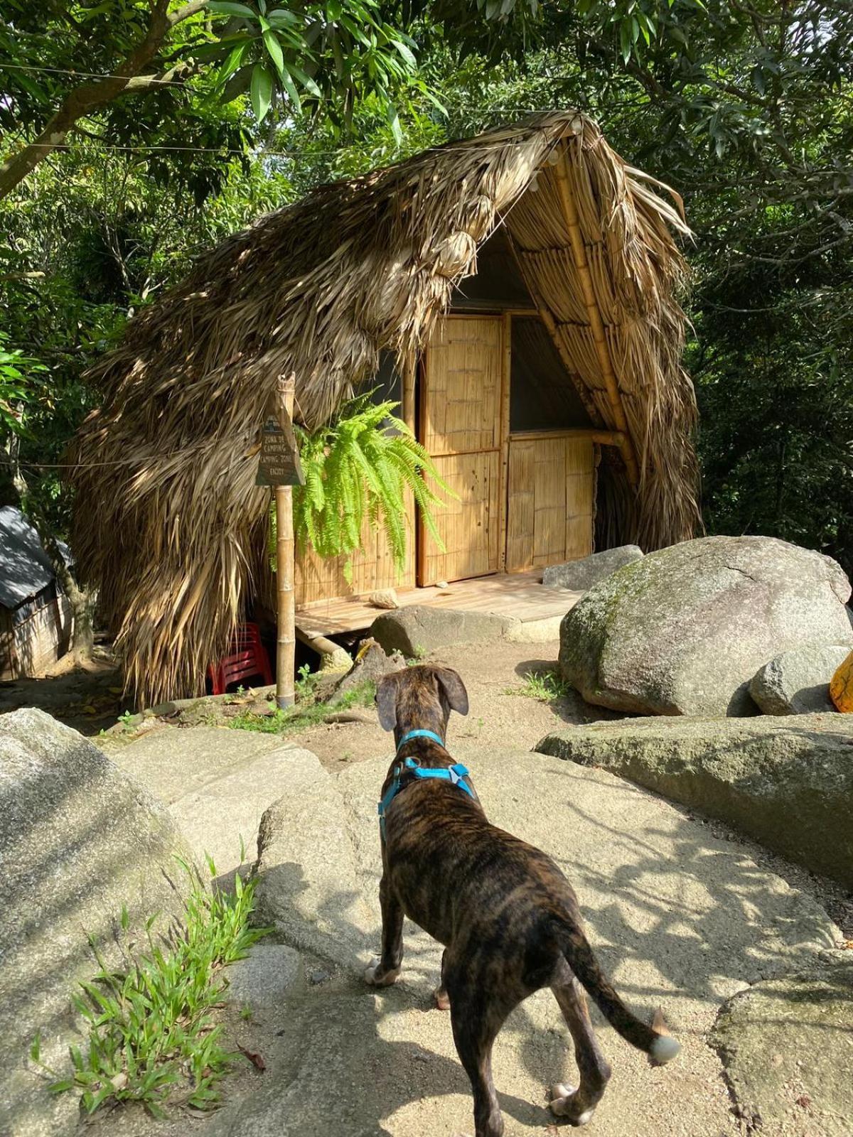 Hostal Dos Quebradas Santa Marta  Bagian luar foto